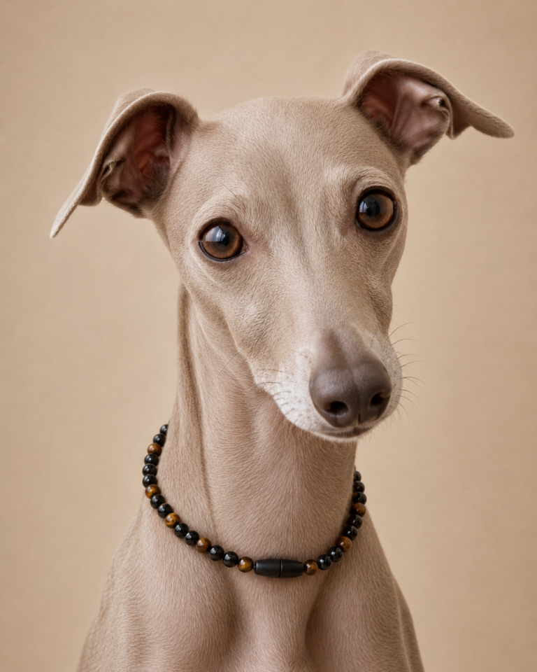 Iggy kette tigerauge