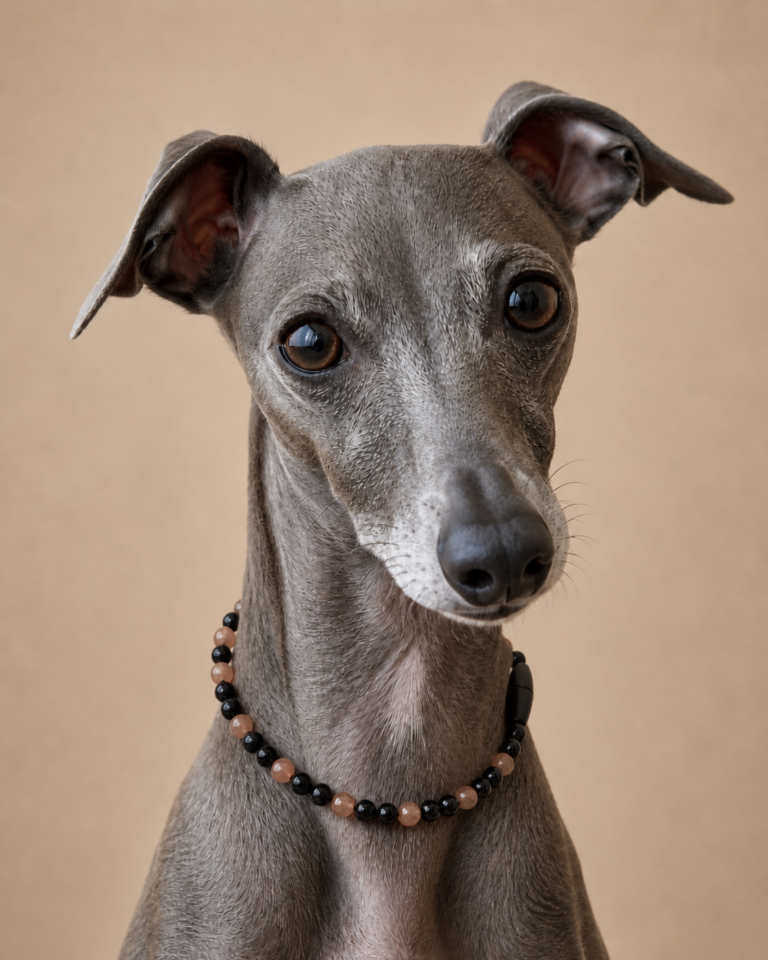 Iggy kette mondstein