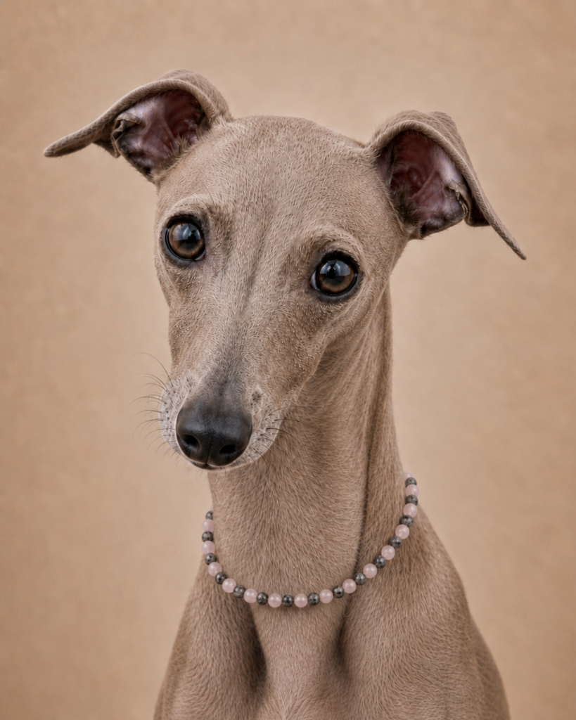 Iggy Heilsteinkette